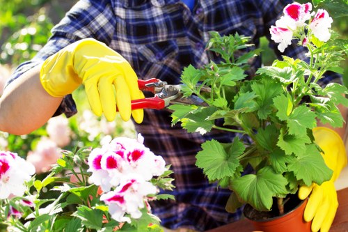 Front view of a maintained garden with pruning tools