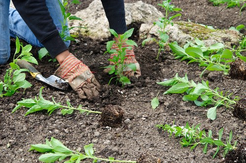 Gardener preparing tools with safety gloves and boots