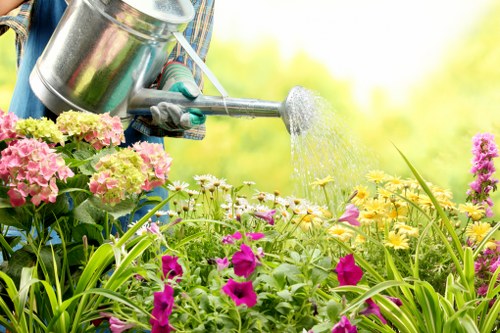 The image shows a close-up of a gardener's hand using a silver watering can to water vibrant flowering plants in a garden. The scene includes a variety of pink, purple, and yellow flowers, along with lush green foliage. The background features a bright, sunlit outdoor environment with blurred green trees and a warm, natural light suggesting a clear day. Visible garden elements include the flower bed with well-maintained plants and a hint of a garden path or soil area at the base of the plants. The garden appears to be in a residential outdoor space, emphasizing healthy, flourishing plants that benefit from regular watering, reflecting professional gardening practices typical of services offered by companies like Gardening Services New Cross in the local area.