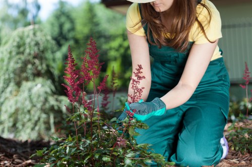 Team member discussing accessible garden maintenance options with a client on-site